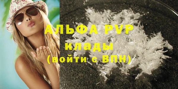 a pvp Пересвет