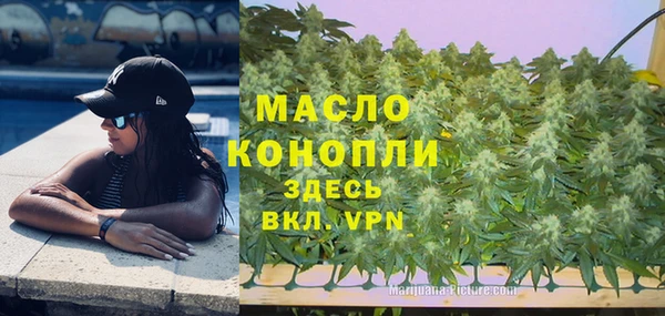 a pvp Пересвет