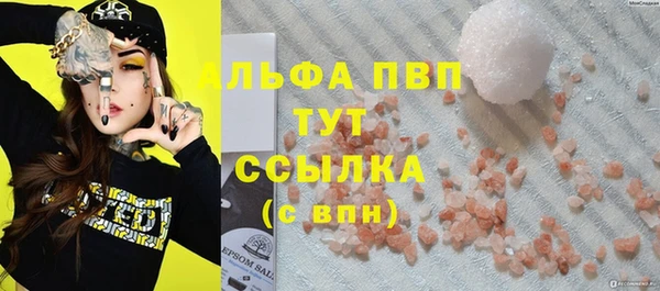 дмт Переславль-Залесский