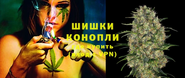дживик Пестово