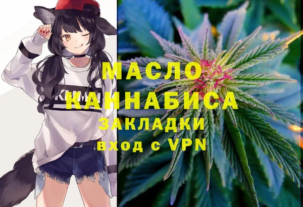 дмт Переславль-Залесский