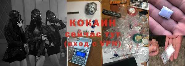 a pvp Пересвет