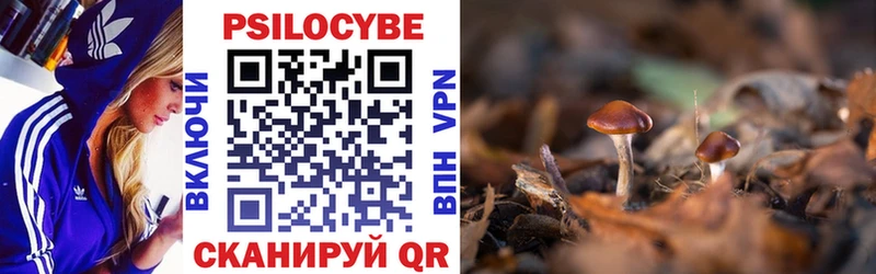 omg вход  Мостовской  Псилоцибиновые грибы GOLDEN TEACHER 